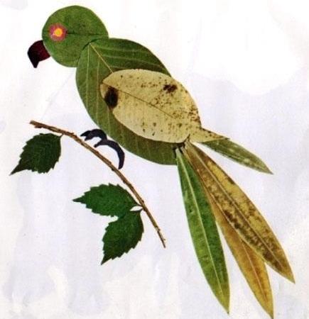 пташка з листя