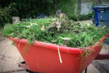 Як позбутися від мокрець в городі: поради садівникам