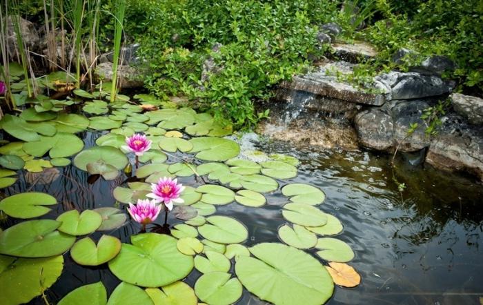 Ландшафтні хитрощі. Застосування світла і створення штучних водойм на присадибній ділянці