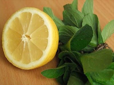 Варення з м'яти і лимона: рецепт приготування