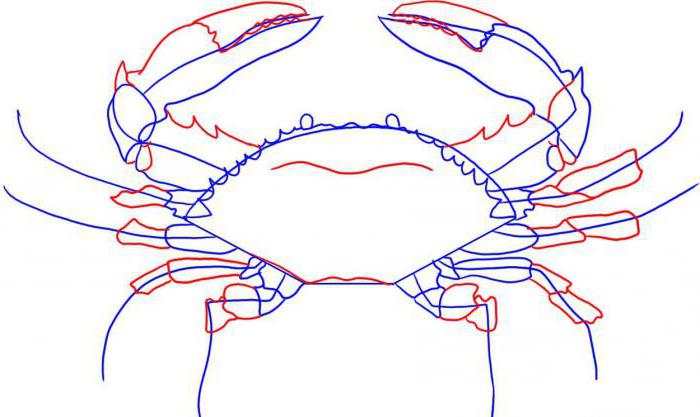 як намалювати краба поетапно