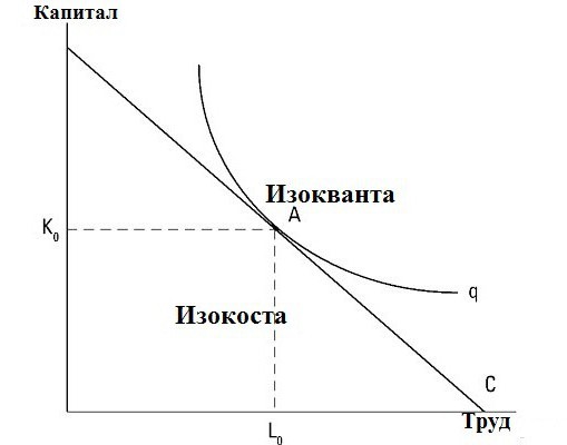 изокоста це