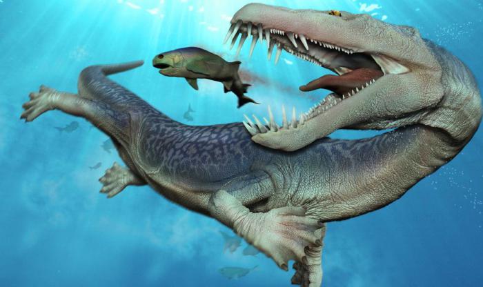 види плаваючих динозаврів