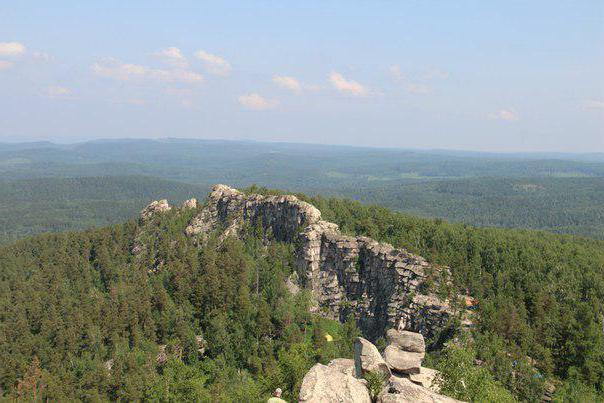 тварини челябінської області