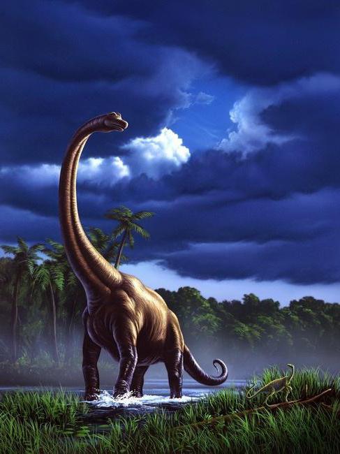 Хижі динозаври - тероподи: опис, спосіб життя