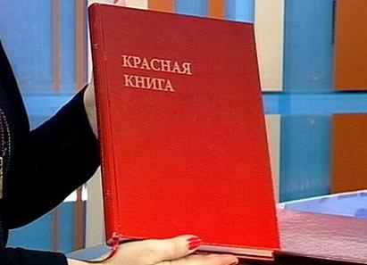 міжнародна червона книга фото тварин