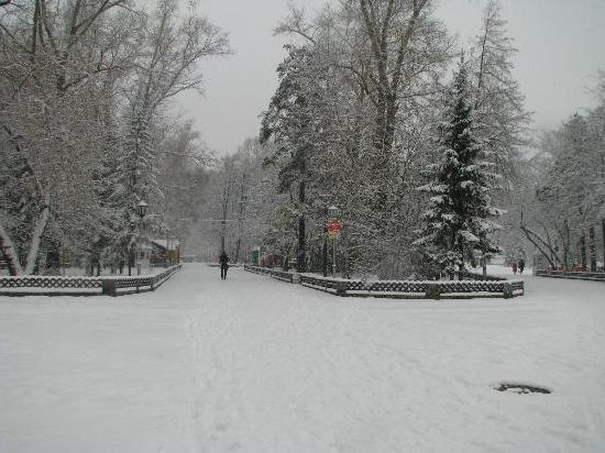 парки Новосибірська