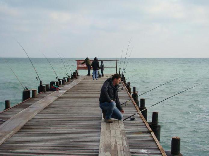 Риболовля в Анапі: відгуки. Морська рибалка з берега