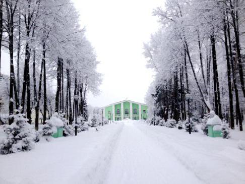 туберкульозний санаторій Плесо відгуки