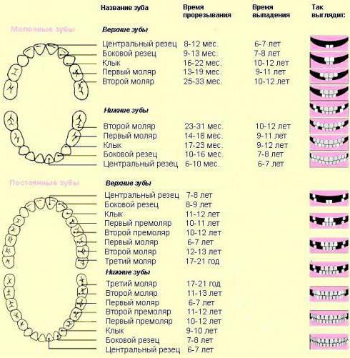 видалення молочних зубів у дітей наслідки
